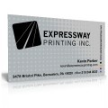 1000 Business Cards (3.5