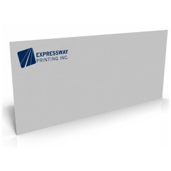 2500 Envelopes (#10 Business - Regular)